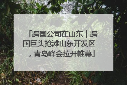 跨国公司在山东｜跨国巨头抢滩山东开发区，青岛峰会拉开帷幕