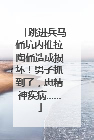 跳进兵马俑坑内推拉陶俑造成损坏！男子抓到了，患精神疾病……