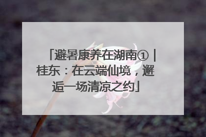 避暑康养在湖南①｜桂东：在云端仙境，邂逅一场清凉之约