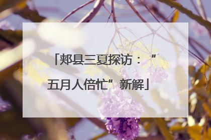 郏县三夏探访：“五月人倍忙”新解