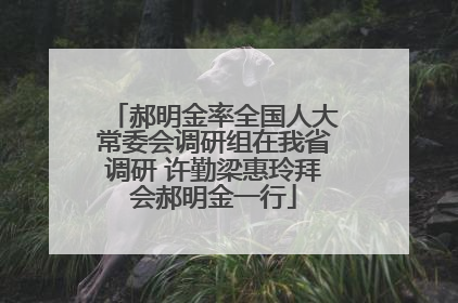 郝明金率全国人大常委会调研组在我省调研 许勤梁惠玲拜会郝明金一行