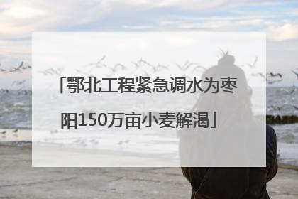 鄂北工程紧急调水为枣阳150万亩小麦解渴