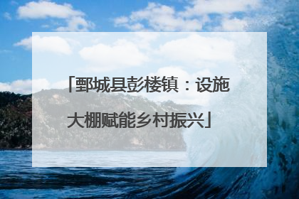鄄城县彭楼镇：设施大棚赋能乡村振兴