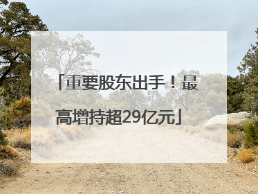 重要股东出手！最高增持超29亿元