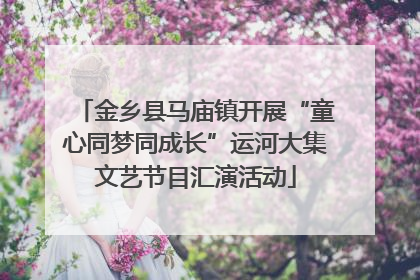 金乡县马庙镇开展“童心同梦同成长”运河大集文艺节目汇演活动