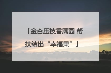 金杏压枝香满园 帮扶结出“幸福果”