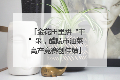 金花田里拼“丰”采，醴陵市油菜高产竞赛创佳绩
