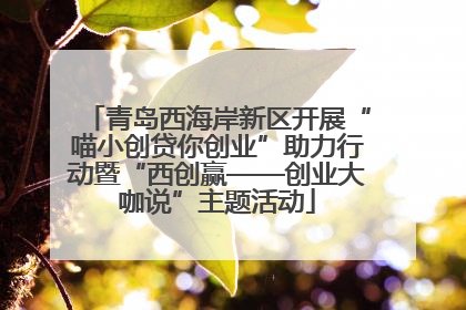 青岛西海岸新区开展“喵小创贷你创业”助力行动暨“西创赢——创业大咖说”主题活动
