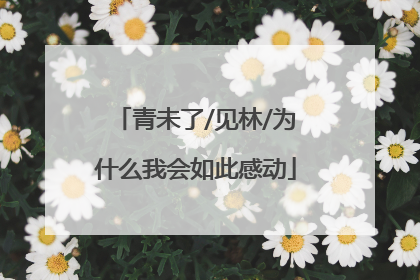 青未了/见林/为什么我会如此感动