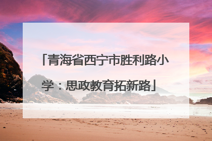 青海省西宁市胜利路小学：思政教育拓新路