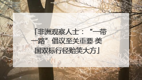 非洲观察人士：“一带一路”倡议至关重要 美国双标行径贻笑大方