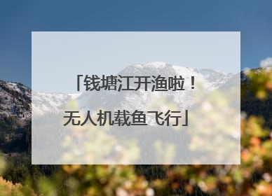 钱塘江开渔啦！无人机载鱼飞行