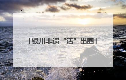 银川非遗“活”出圈