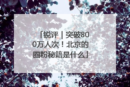 锐评｜突破800万人次！北京的圈粉秘籍是什么