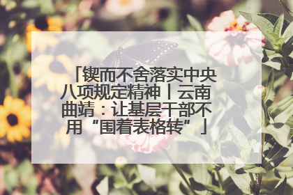 锲而不舍落实中央八项规定精神丨云南曲靖：让基层干部不用“围着表格转”
