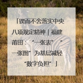 锲而不舍落实中央八项规定精神｜福建莆田：“一张表”“一张图”为基层减轻“数字负担”