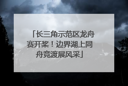 长三角示范区龙舟赛开桨！边界湖上同舟竞渡展风采