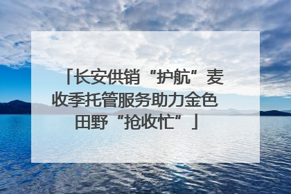 长安供销“护航”麦收季托管服务助力金色田野“抢收忙”