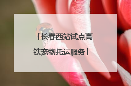 长春西站试点高铁宠物托运服务