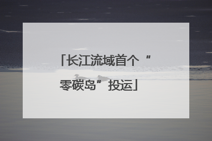 长江流域首个“零碳岛”投运