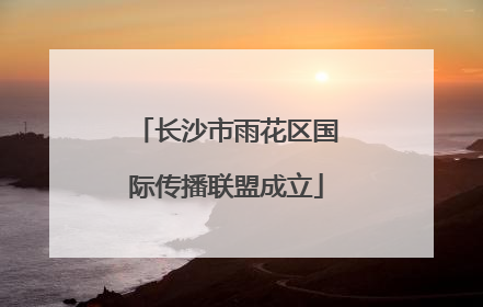 长沙市雨花区国际传播联盟成立