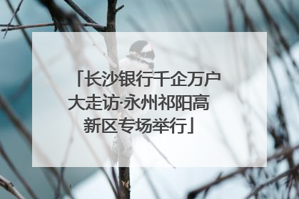 长沙银行千企万户大走访·永州祁阳高新区专场举行