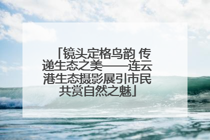 镜头定格鸟韵 传递生态之美——连云港生态摄影展引市民共赏自然之魅