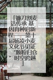 镰刀割麦话传承 基因育种启新程——第十届杨凌小麦文化节见证“颗粒归仓”时空跨越