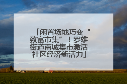 闲置场地巧变“致富市集”！罗雄街道南城集市激活社区经济新活力
