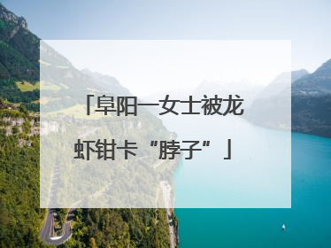 阜阳一女士被龙虾钳卡“脖子”