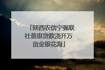 陕西农信宁强联社普惠贷款浇开万亩金银花海