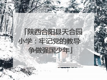 陕西合阳县天合园小学：牢记党的教导 争做强国少年