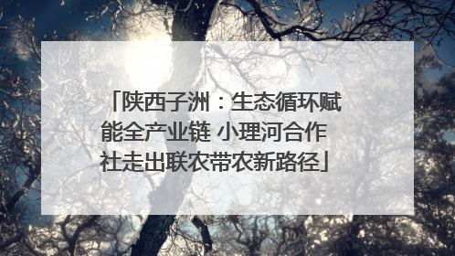 陕西子洲：生态循环赋能全产业链 小理河合作社走出联农带农新路径