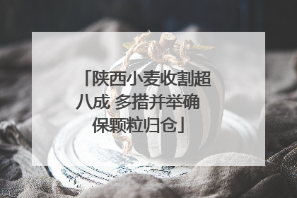 陕西小麦收割超八成 多措并举确保颗粒归仓