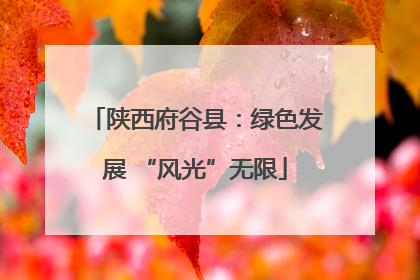 陕西府谷县：绿色发展 “风光”无限
