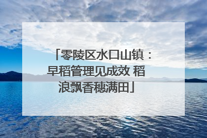 零陵区水口山镇：早稻管理见成效 稻浪飘香穗满田