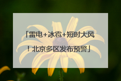 雷电+冰雹+短时大风！北京多区发布预警