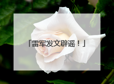 雷军发文辟谣！