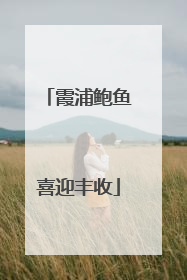 霞浦鲍鱼喜迎丰收