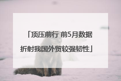 顶压前行 前5月数据折射我国外贸较强韧性
