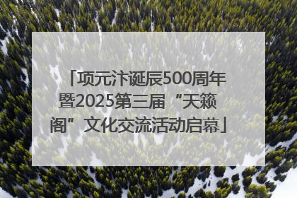 项元汴诞辰500周年暨2025第三届“天籁阁”文化交流活动启幕