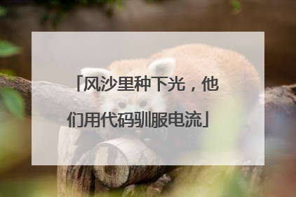 风沙里种下光，他们用代码驯服电流