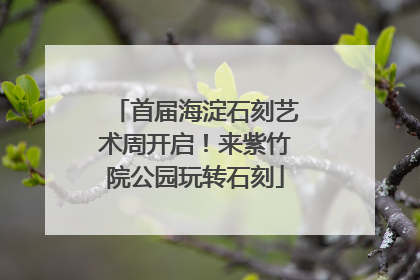 首届海淀石刻艺术周开启！来紫竹院公园玩转石刻