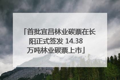 首批宜昌林业碳票在长阳正式签发 14.38万吨林业碳票上市