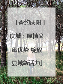 香约庆阳丨庆城：厚植文旅优势 绽放县域新活力