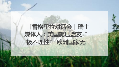 香格里拉对话会｜瑞士媒体人：美国施压盟友“极不理性” 欧洲国家无意与中国“脱钩断链”