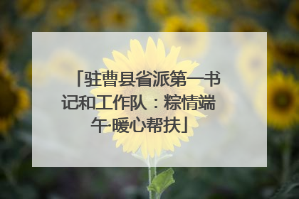 驻曹县省派第一书记和工作队：粽情端午·暖心帮扶