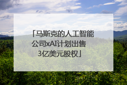 马斯克的人工智能公司xAI计划出售3亿美元股权