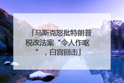 马斯克怒批特朗普税改法案“令人作呕”，白宫回击