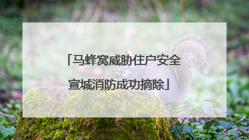 马蜂窝威胁住户安全 宣城消防成功摘除